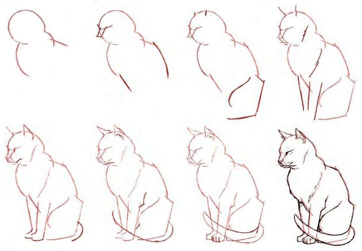 Поэтапные рисунки кота простым карандашом (48 фото)