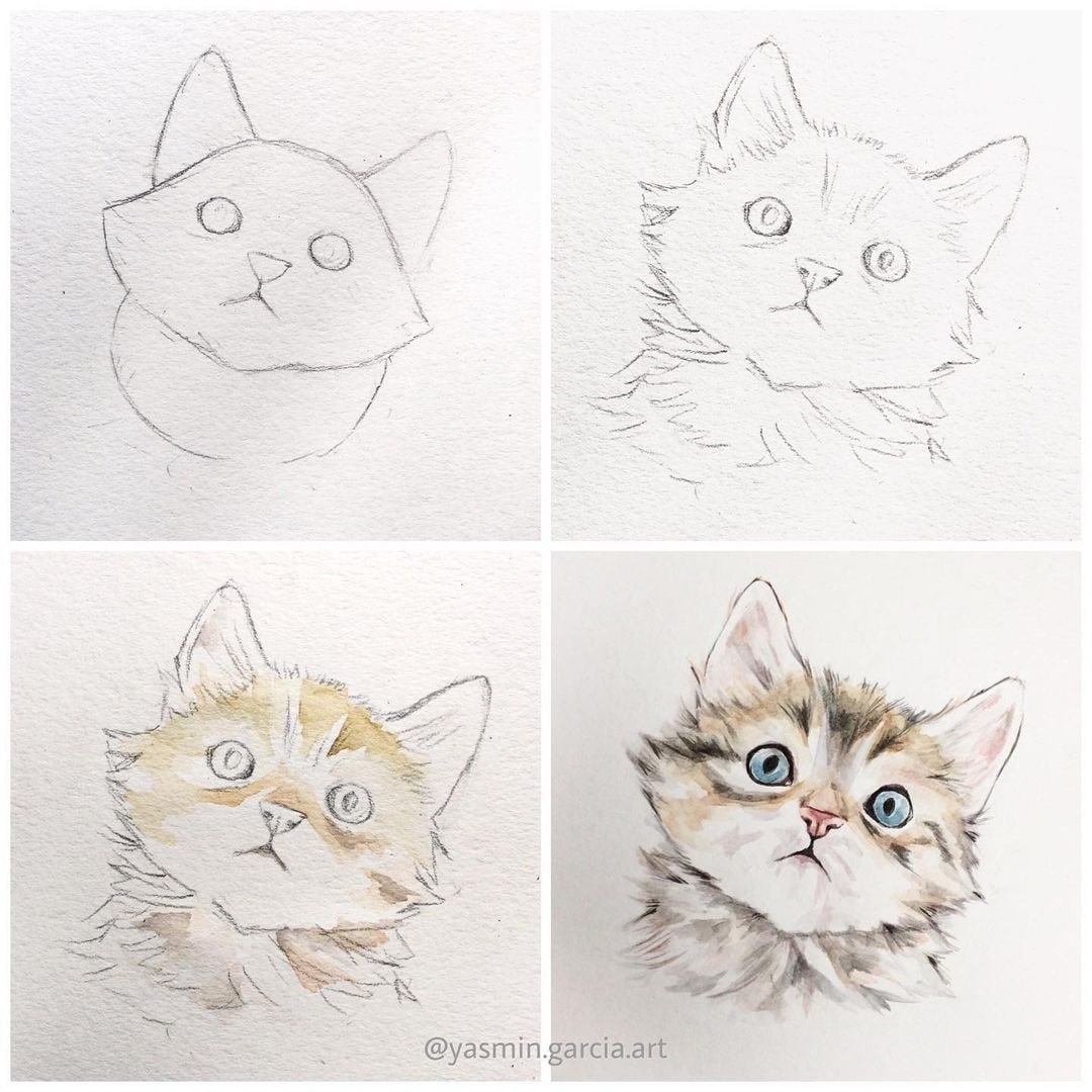 Кошка рисунок карандашом поэтапно легко (48 фото)