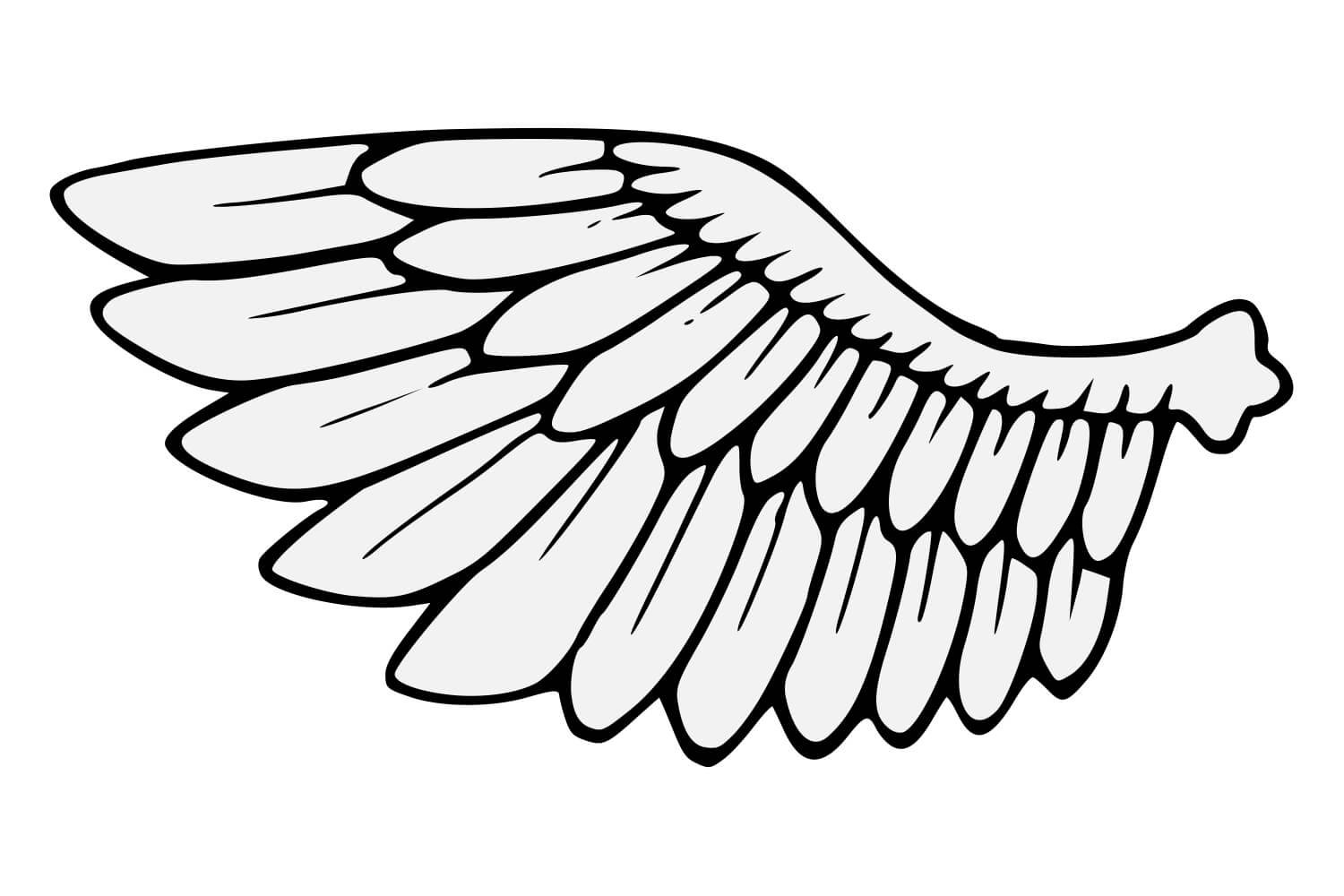 Полёт: руководство для начинающих рисовать крылья | VK