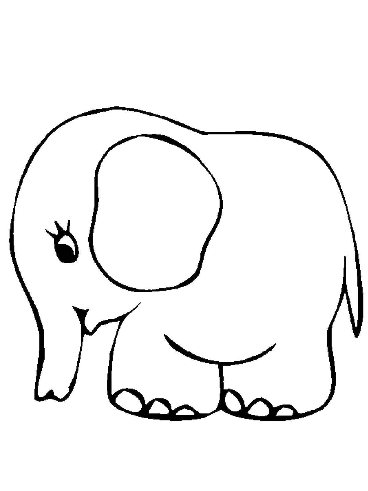 Стоковые фотографии по запросу Слон детский рисунок