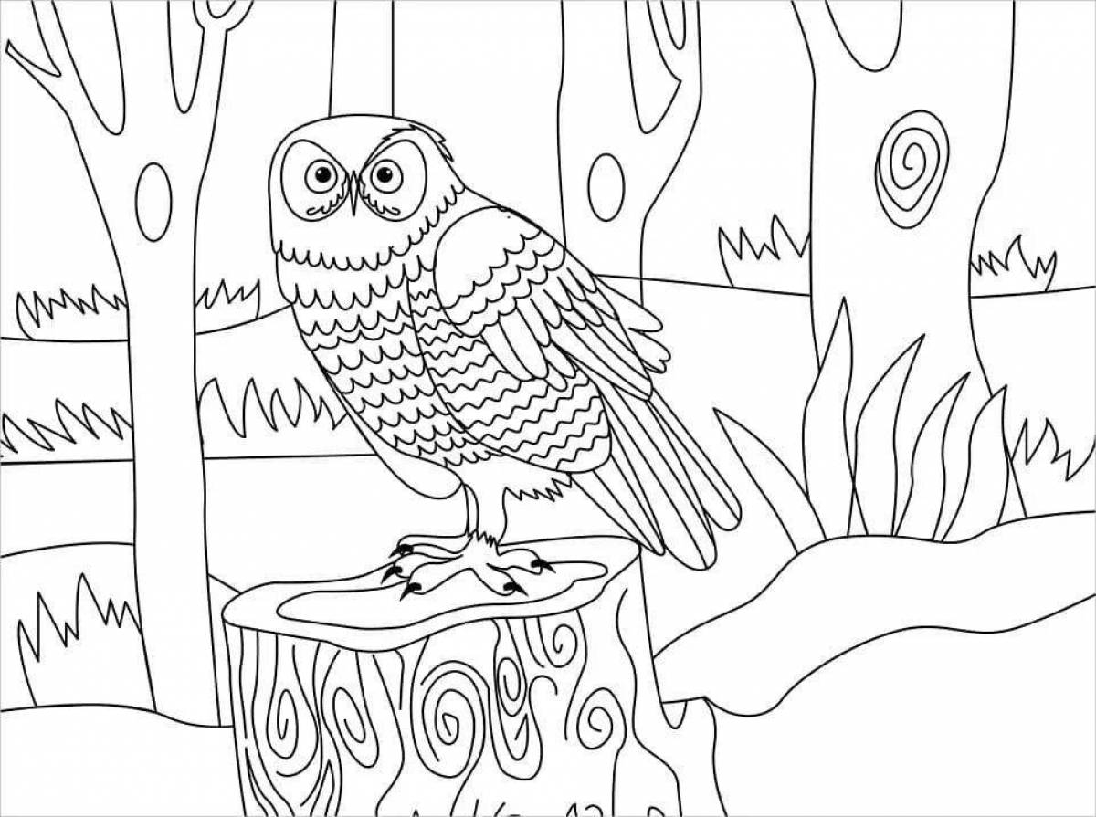 Рисунок к сказке бианки сова