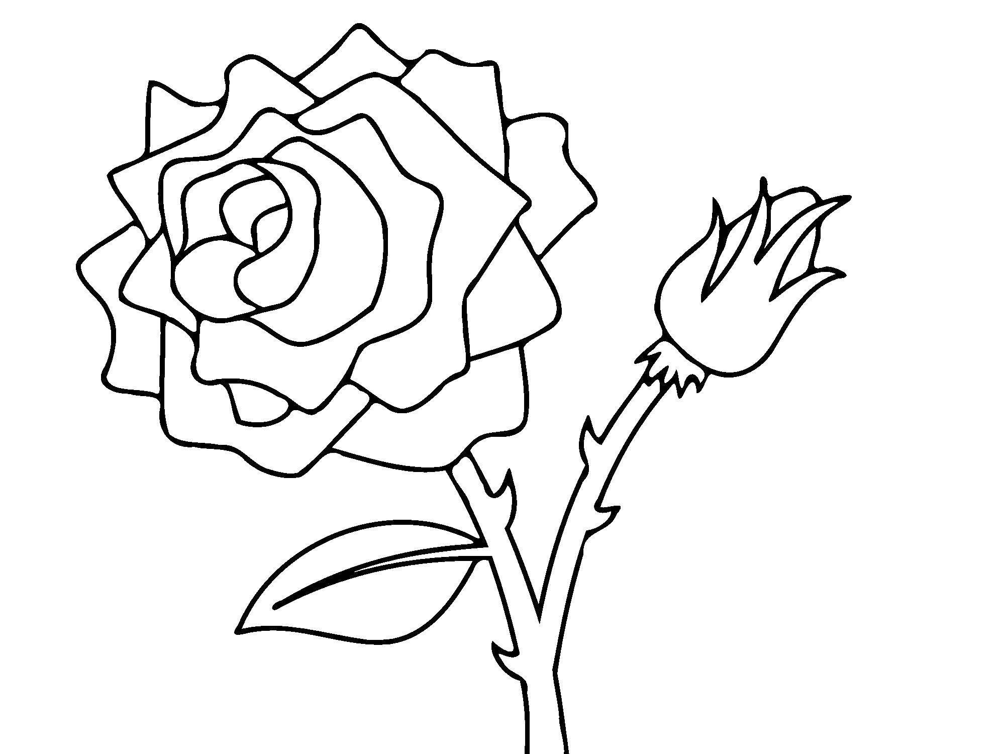 Раскраски Роза — Распечатайте королеву цветов онлайн
