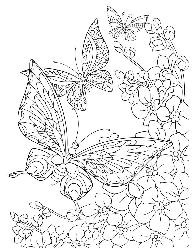 Раскраска Бабочка и Цветы распечатать бесплатно для девочек детей 3,4,5 лет