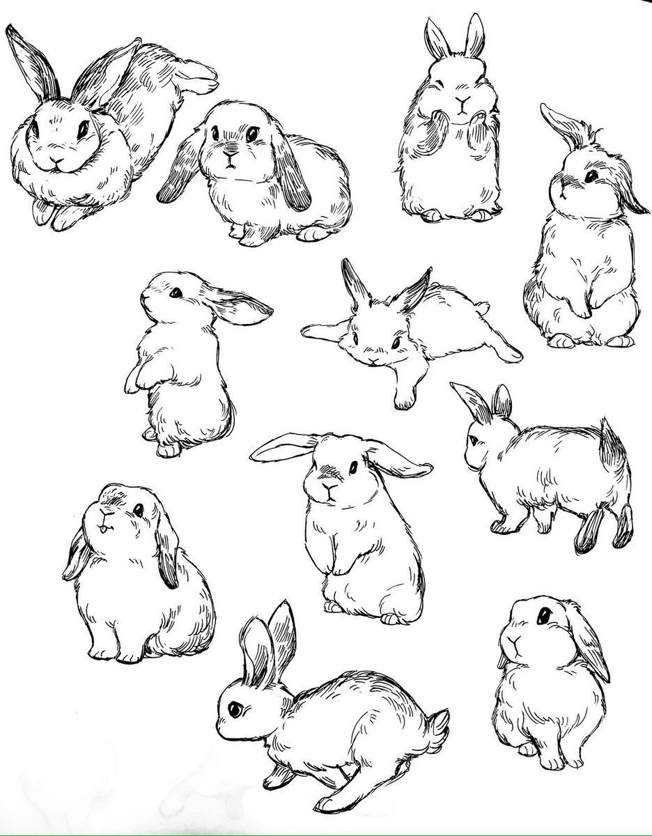 Раскраска год кролика распечатать. Раскраски Новый год Кролика