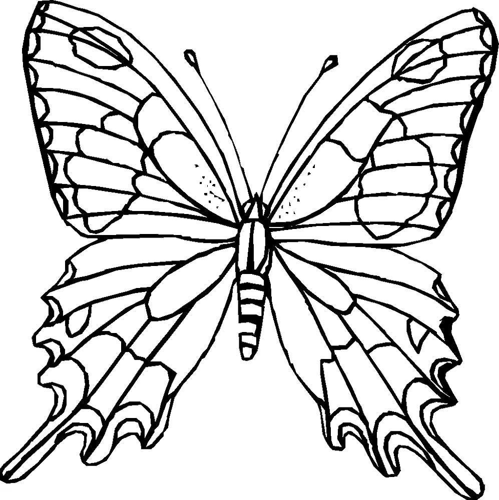Раскраска Бабочка для детей 2 лет