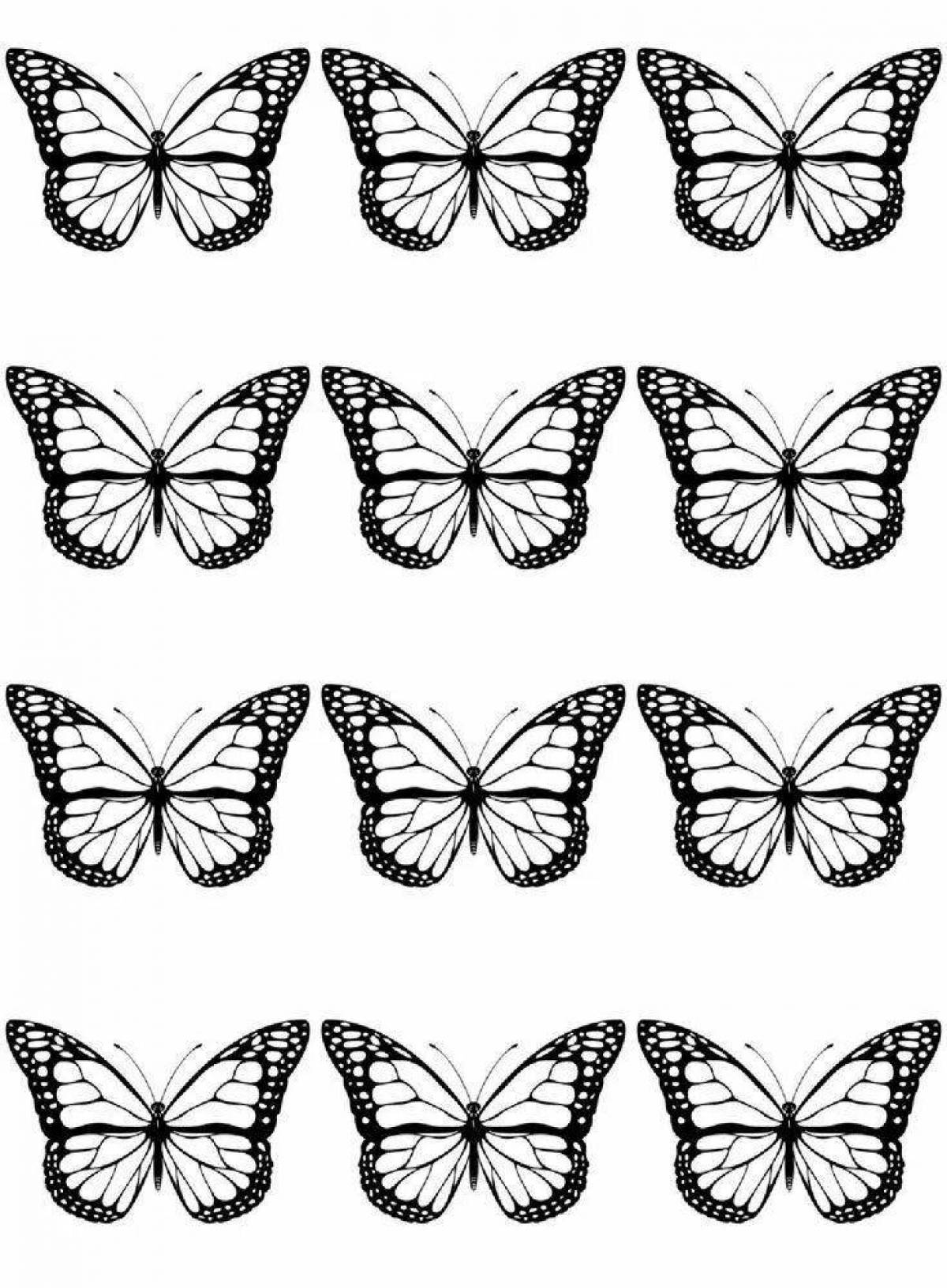 Раскраски бабочки скачать и распечатать бесплатно