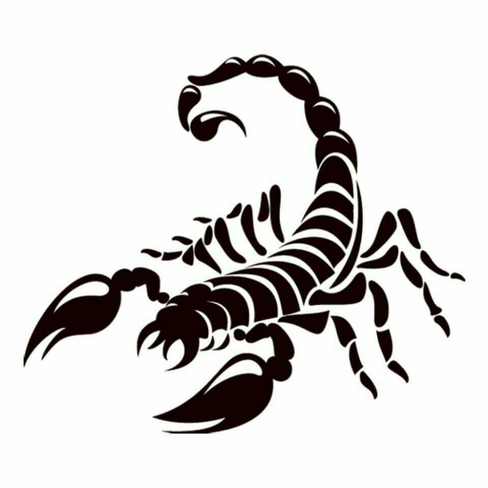 Лучшие татуировки скорпионов 2021 [большая подборка]