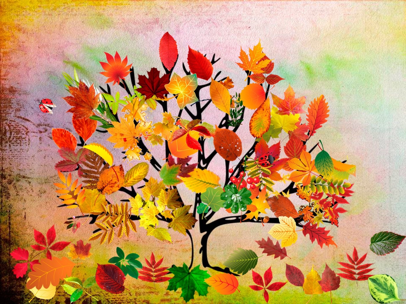 Листопад для дошкольников. Осеннее дерево для детского сада. Осеннее дерево с разноцветными листьями. Разноцветная осень для детей. Листопад урок 6 класс