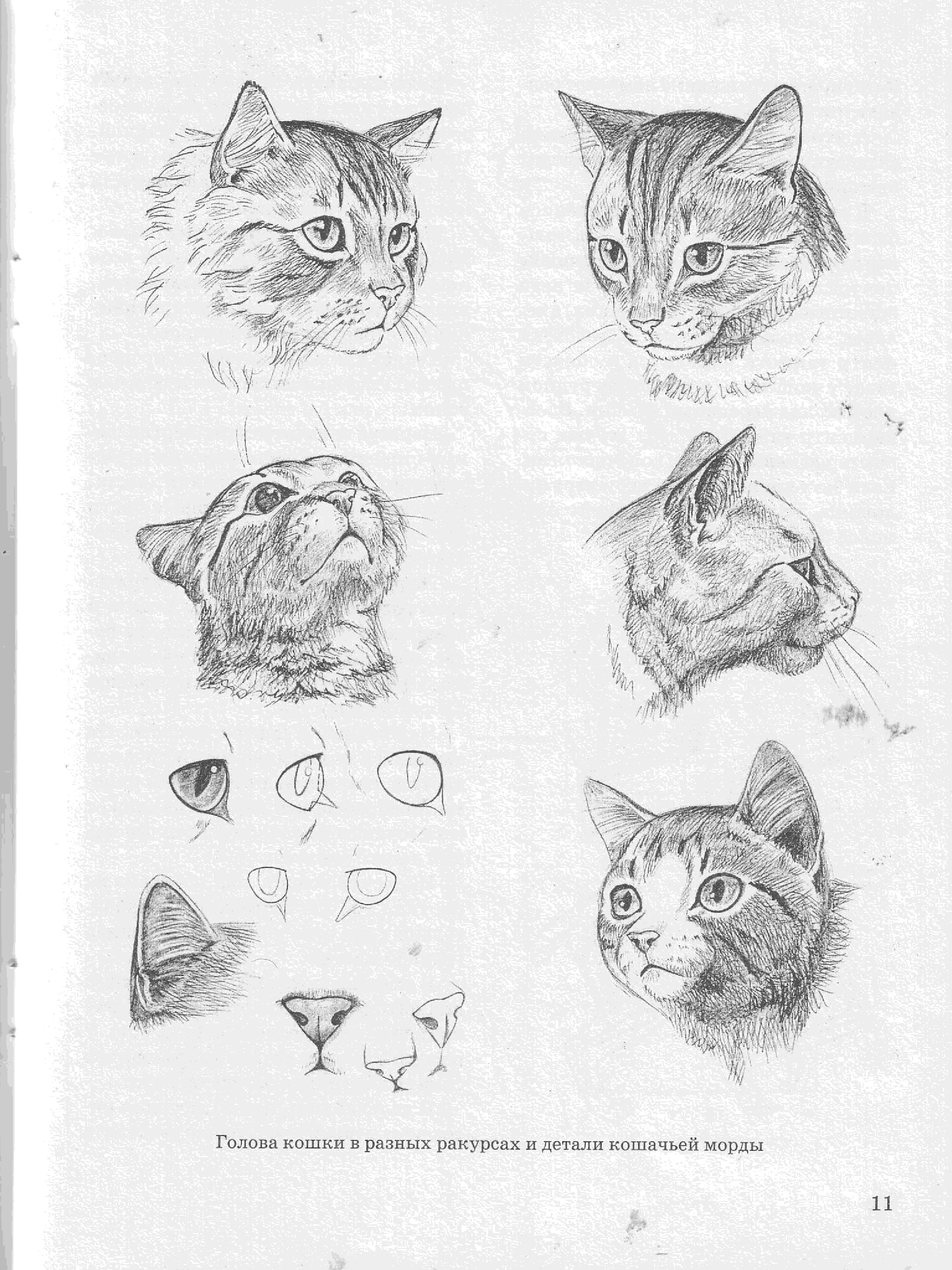 Как нарисовать кошку на лице аквагримом
