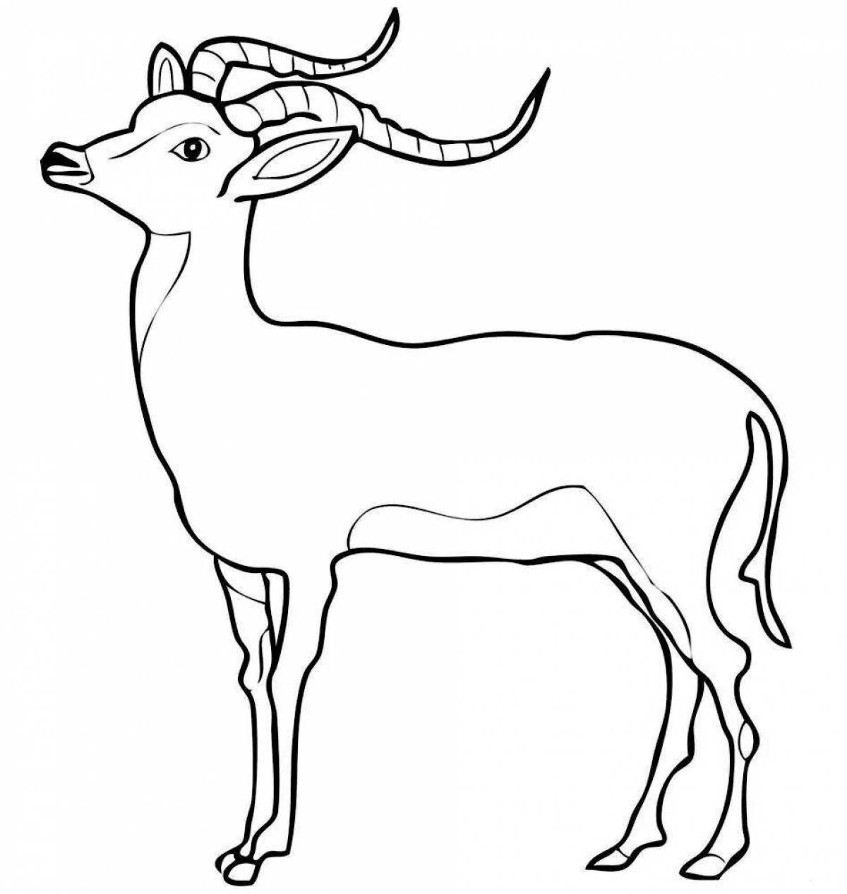 Раскраски антилопы для детей
