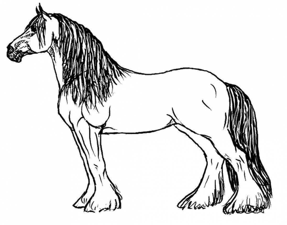 Раскраски для девочек: пони и лошадки