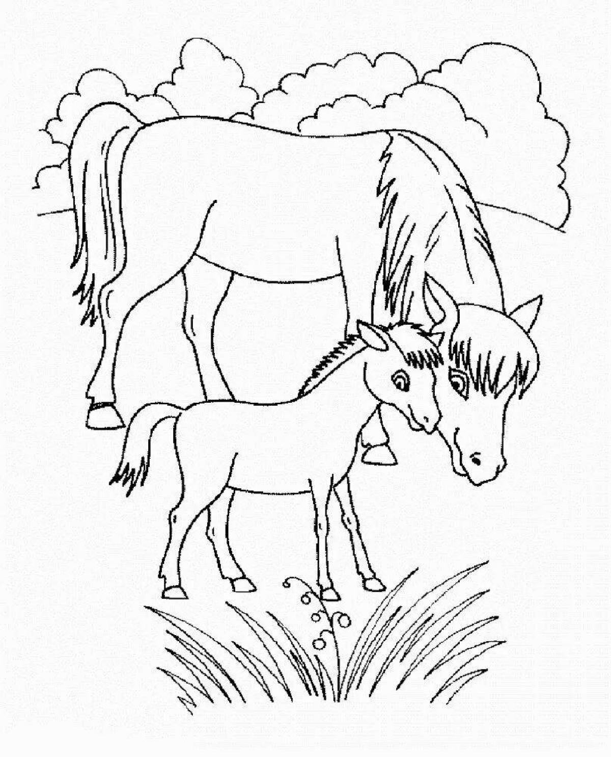 W4340 Картина раскраска Девушка и лошадь