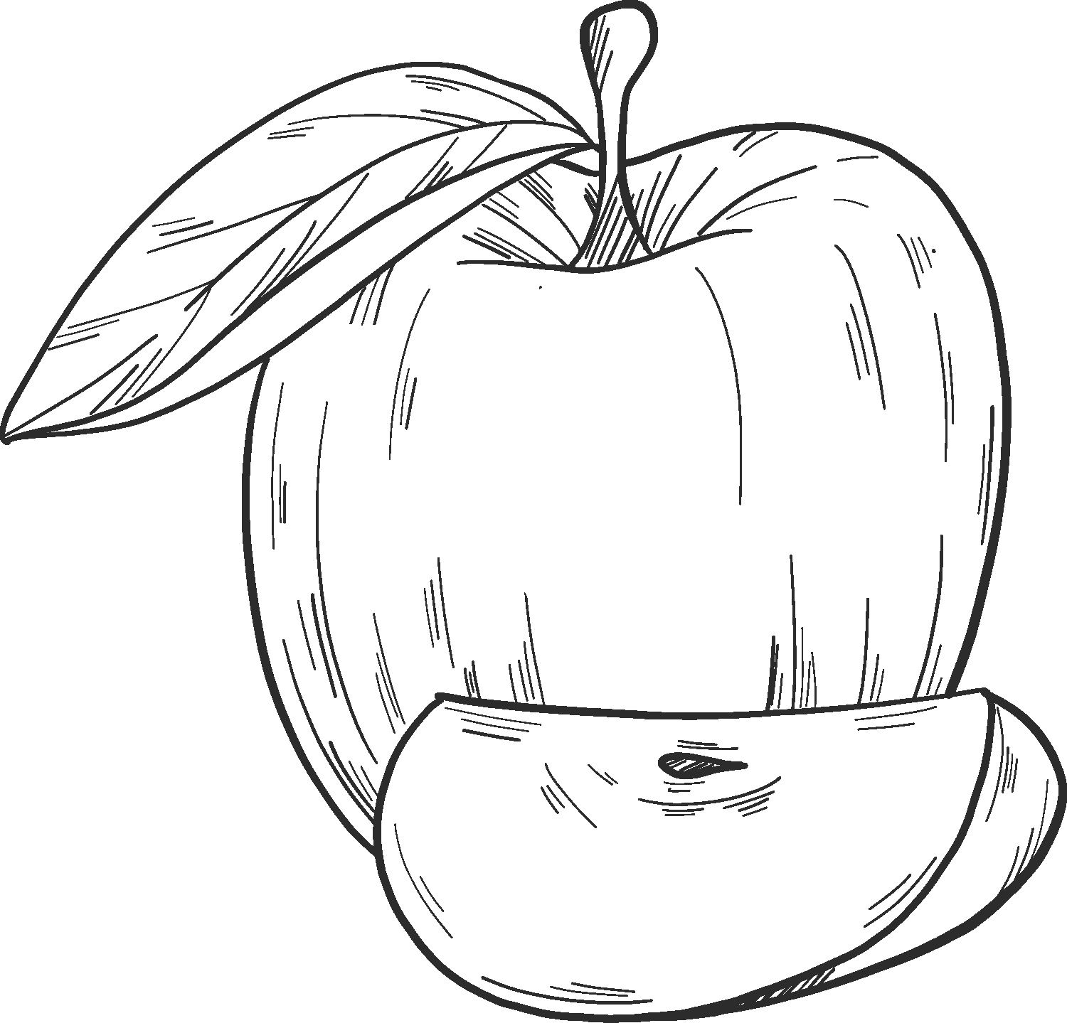 Раскраска яблоко с листочком распечатать