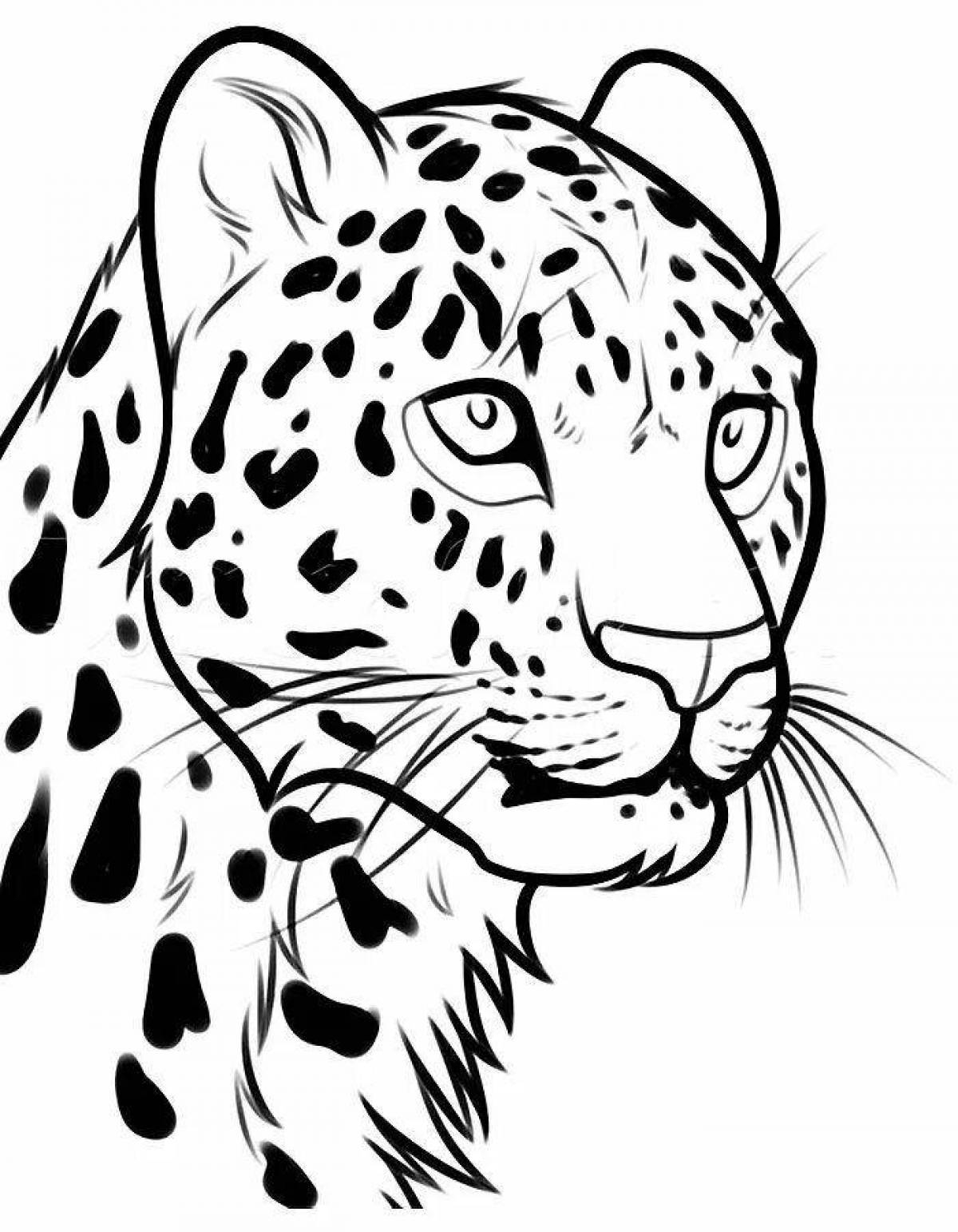 Дальневосточный леопард раскраска