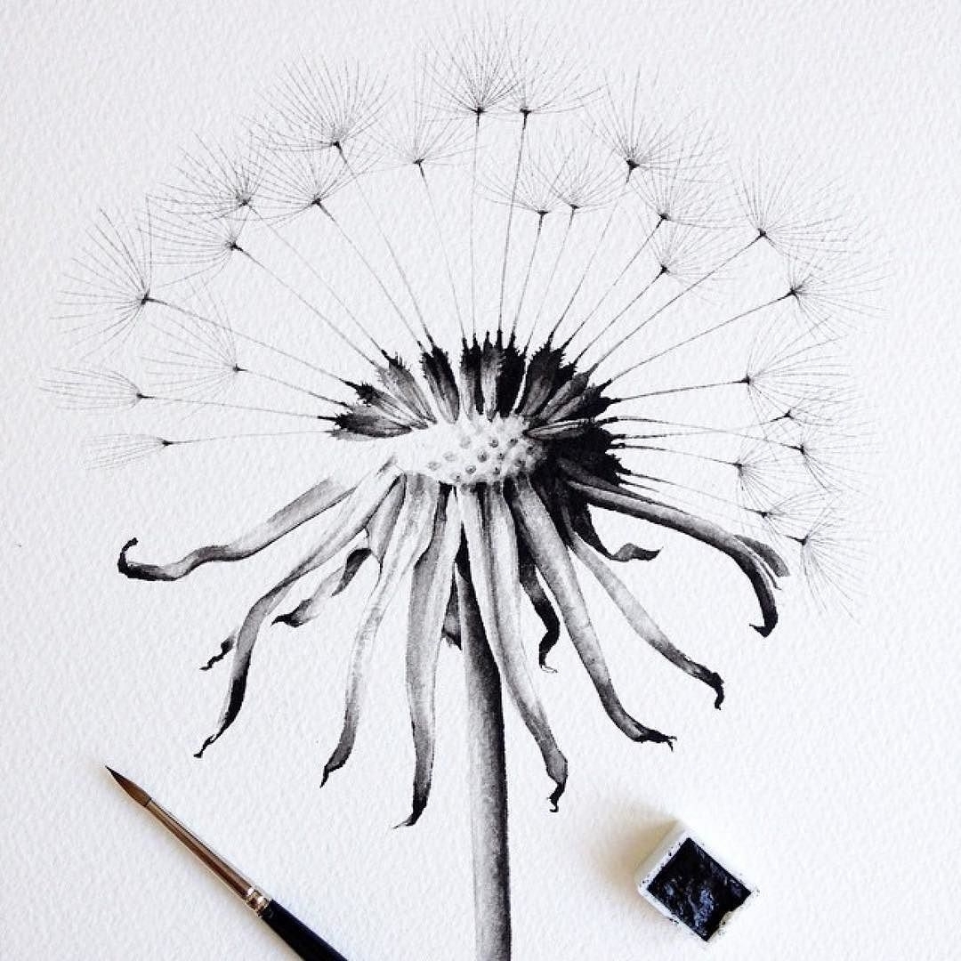 Одуванчик - Изобразительное искусство - Карандаш, ручка, фломастер.