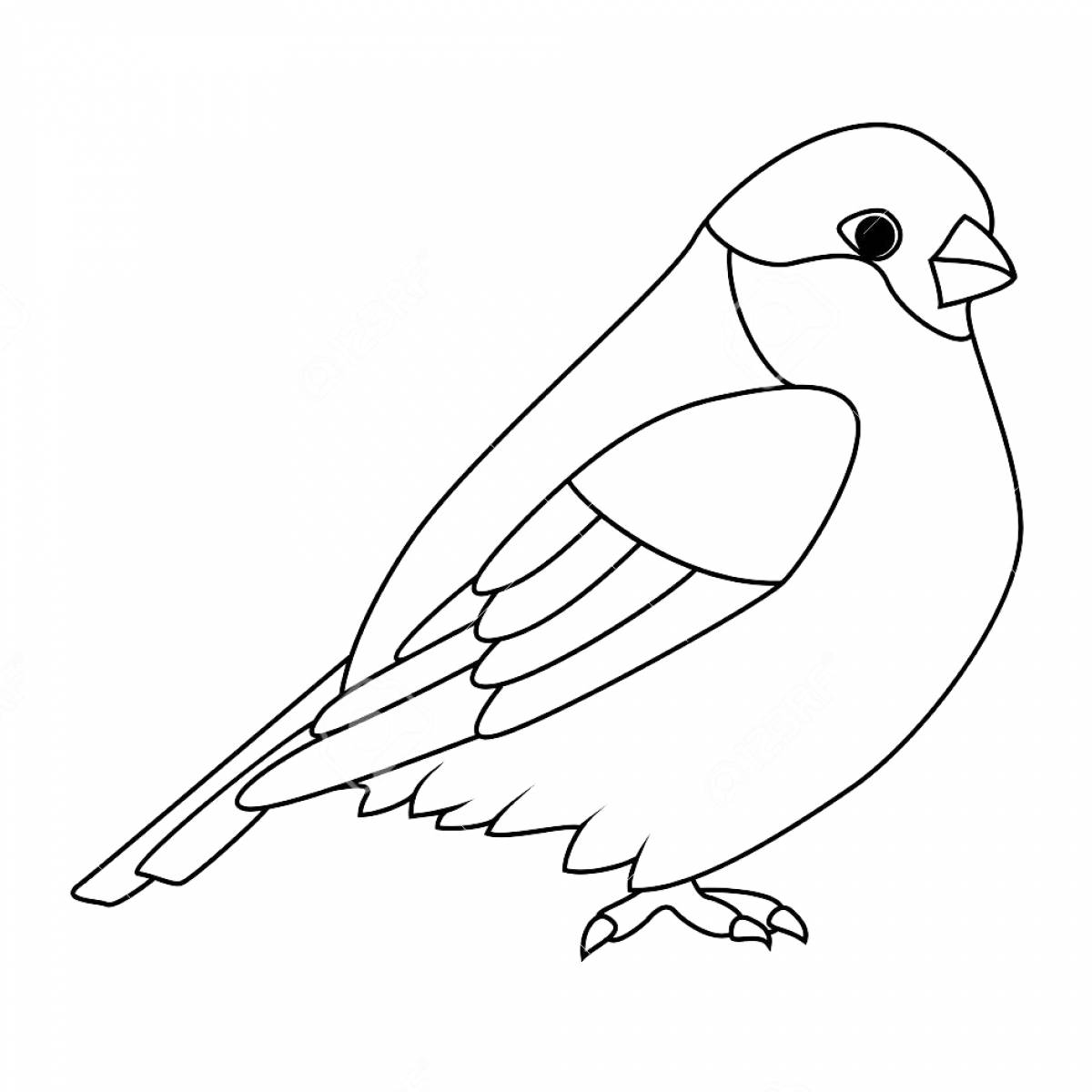 Коврик для творчества-многоразовая раскраска Птички 44,5x34,5 см