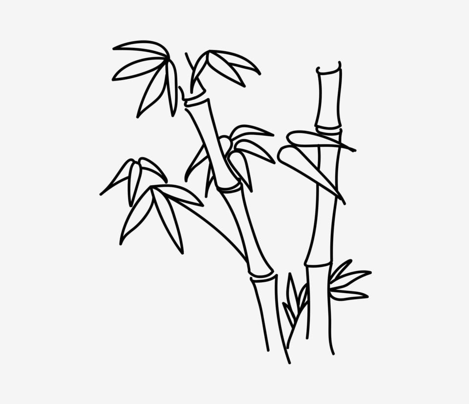 Бамбук рисунок