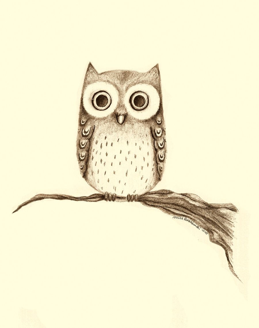 Рисунок совы карандашом для срисовки - 39 фото