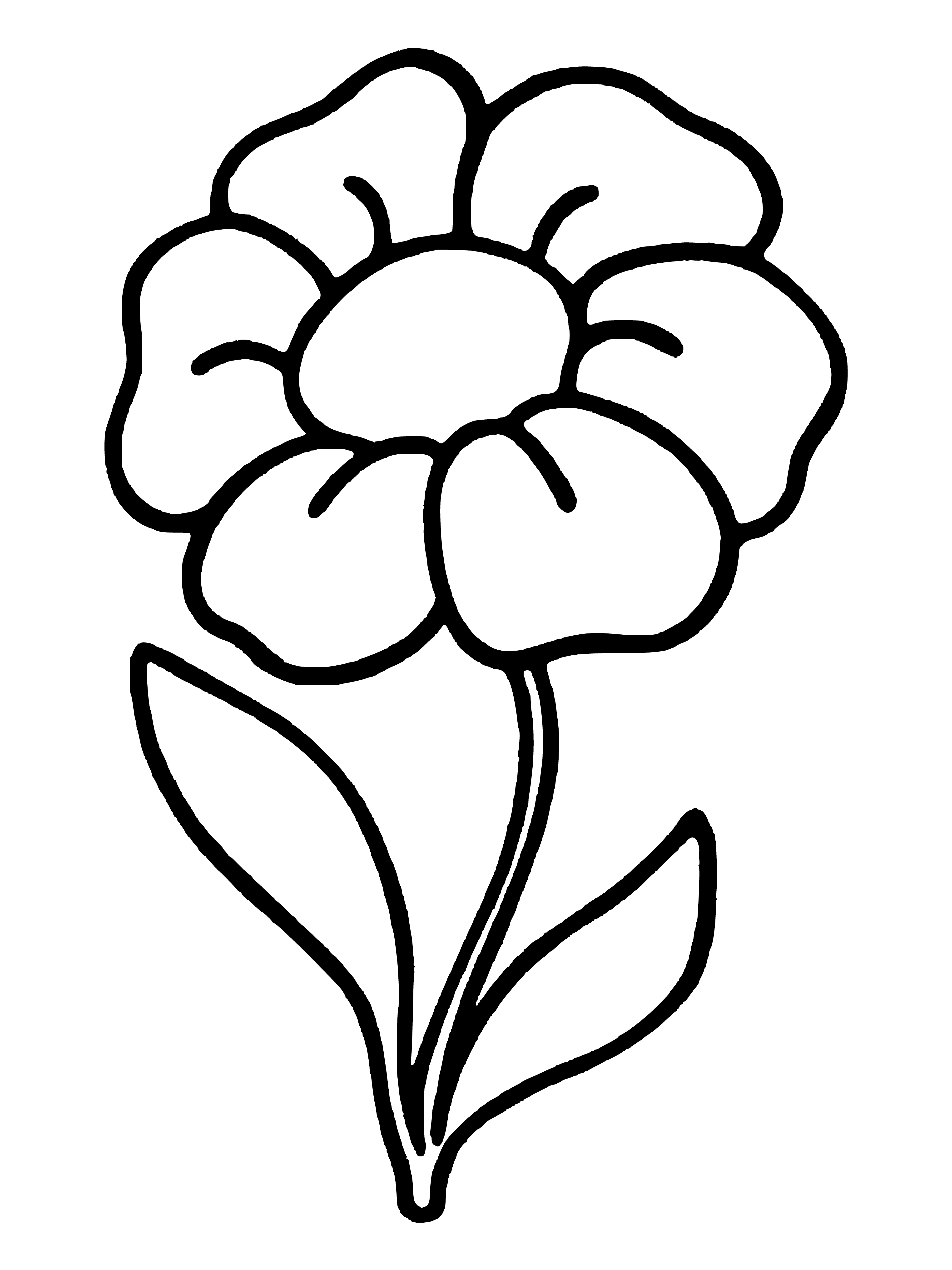 Картинка цветок раскраска - 78 фото