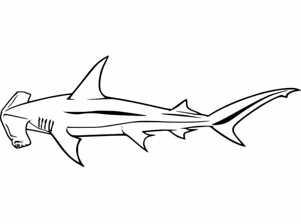 Раскраска Акула-молот в поисках пищи