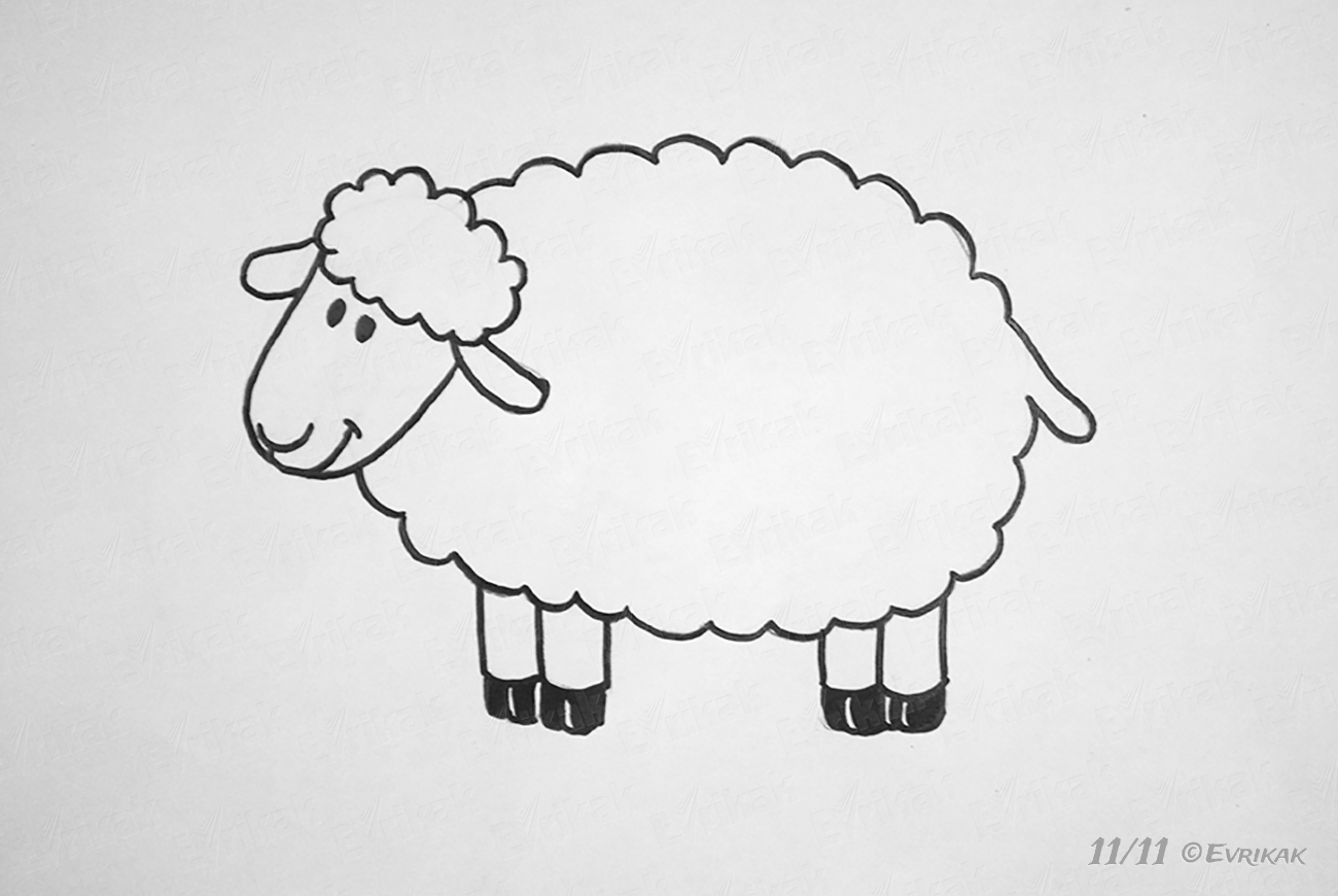 Как нарисовать овечку для начинающих поэтапно