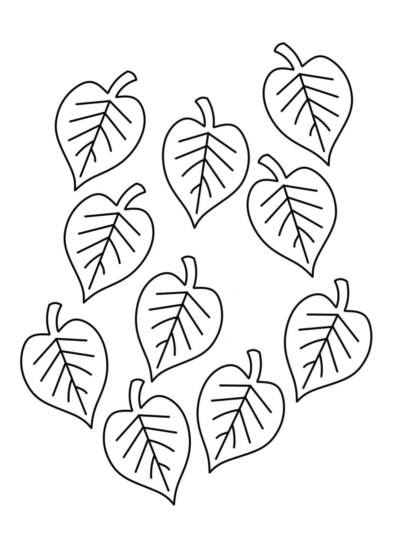 Раскраска лист дерева сумах