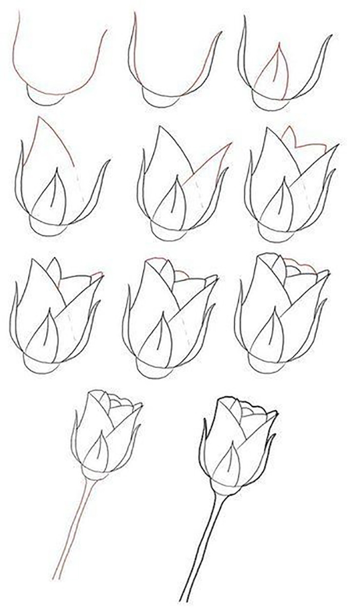 Как нарисовать нос человека: 24 подробные инструкции - Лайфхакер