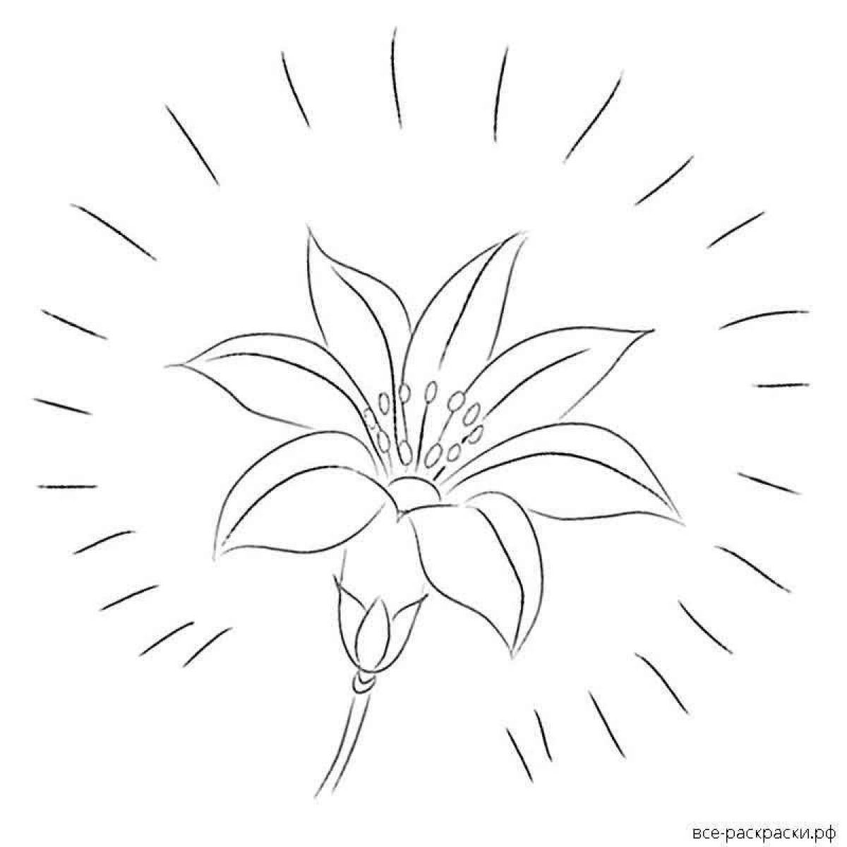 Аленький цветочек рисунок карандашом - 63 фото