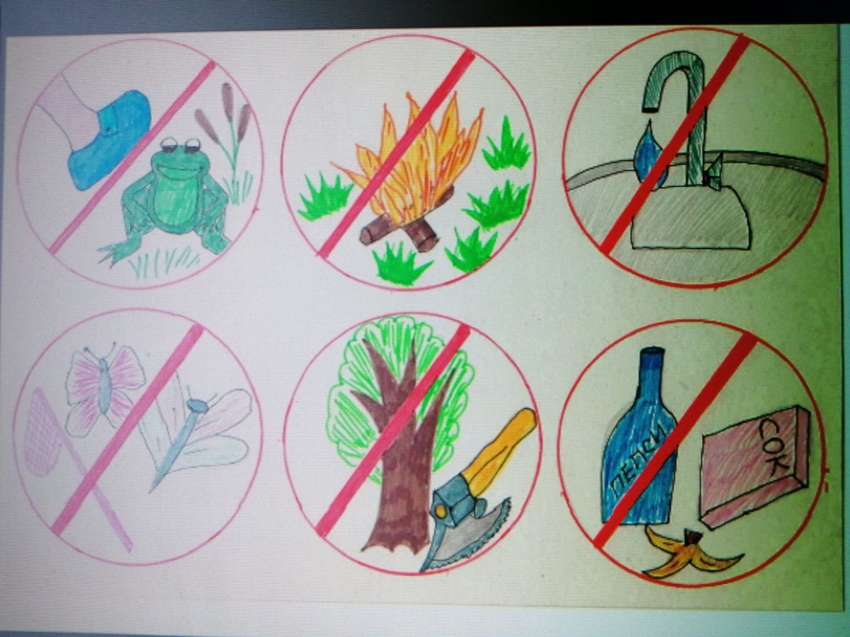 Знаки охраны природы для детей в картинках (30 картинок)
