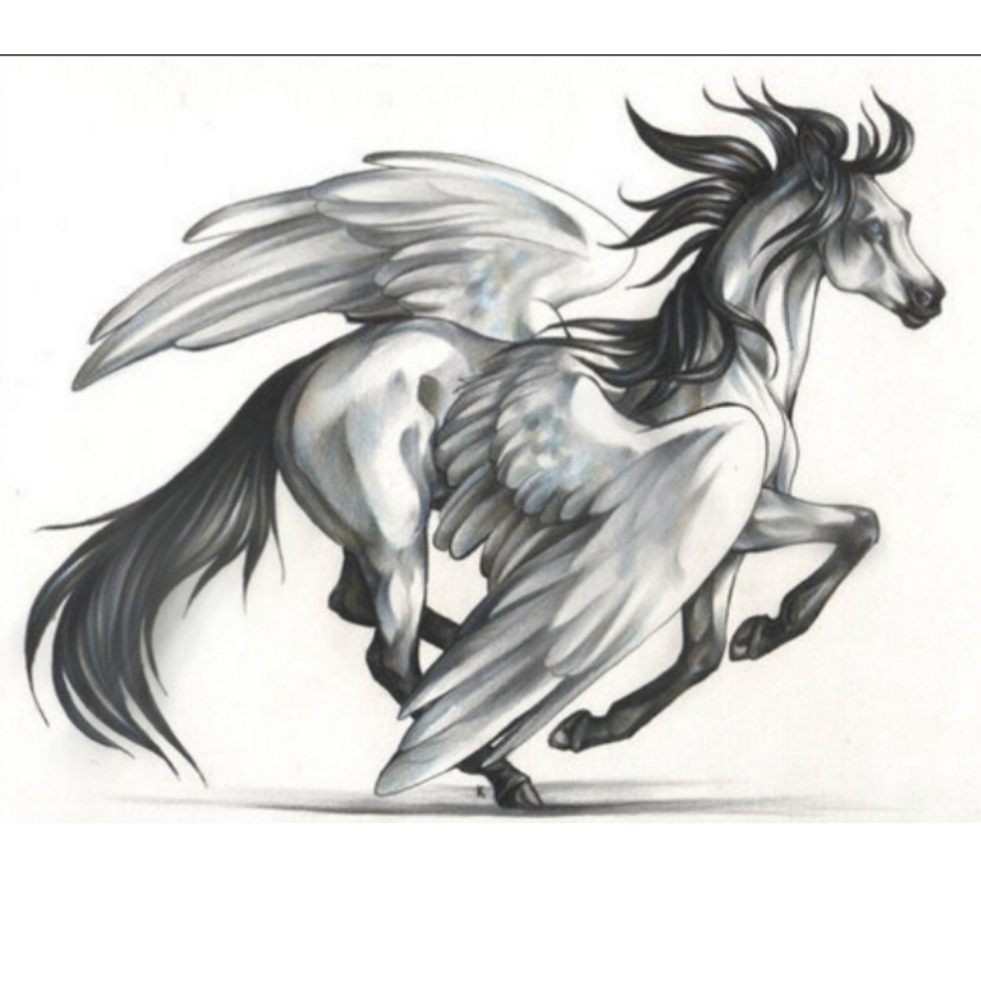 Рисунки лошадь пегас (45 фото)
