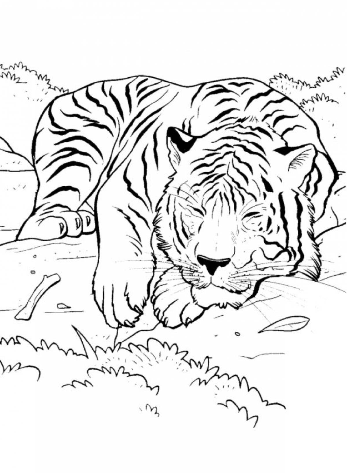 Раскраска амурский тигр - 74 фото