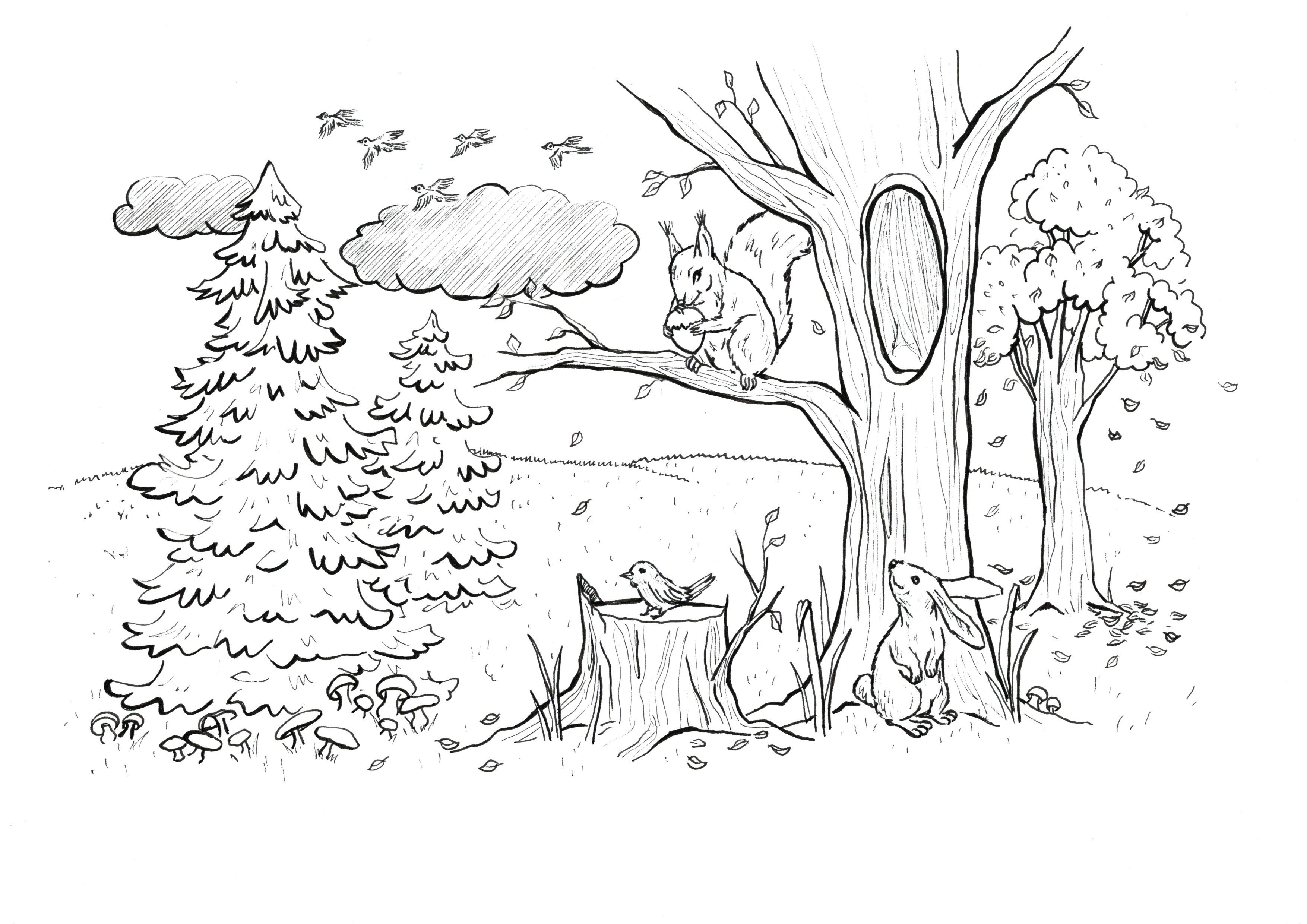 Раскраска «Сказочный лес», лабиринт, 24*17см (РД-247)