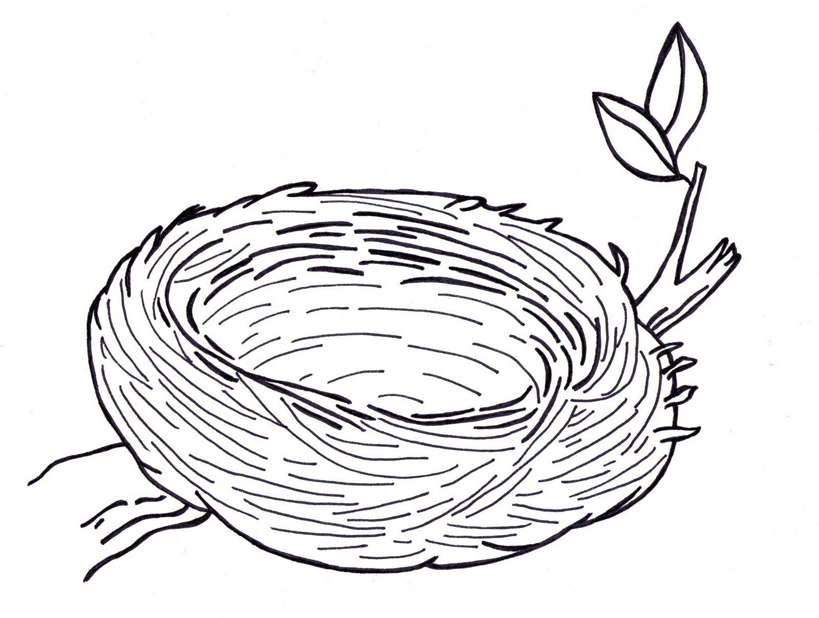 гнездо нарисованное