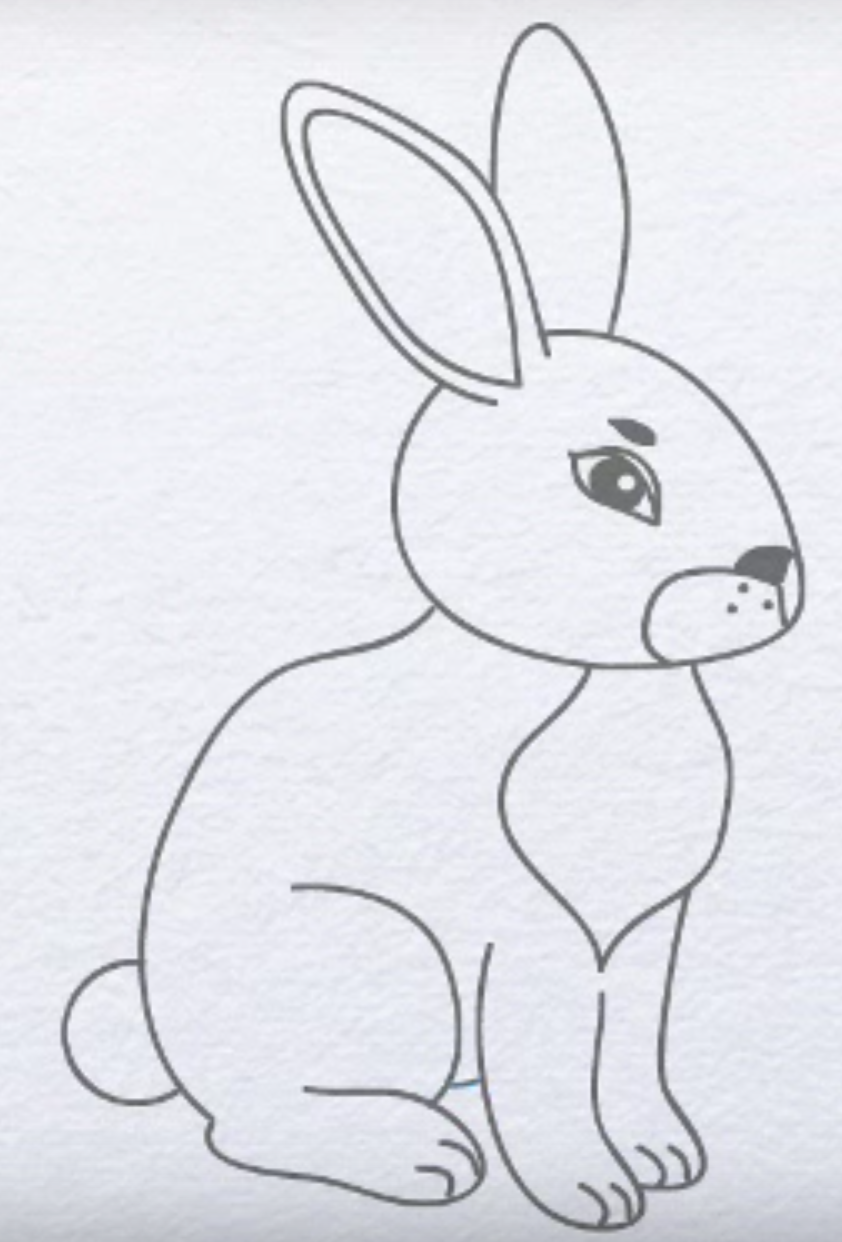 рисунок карандашом заяц маленький