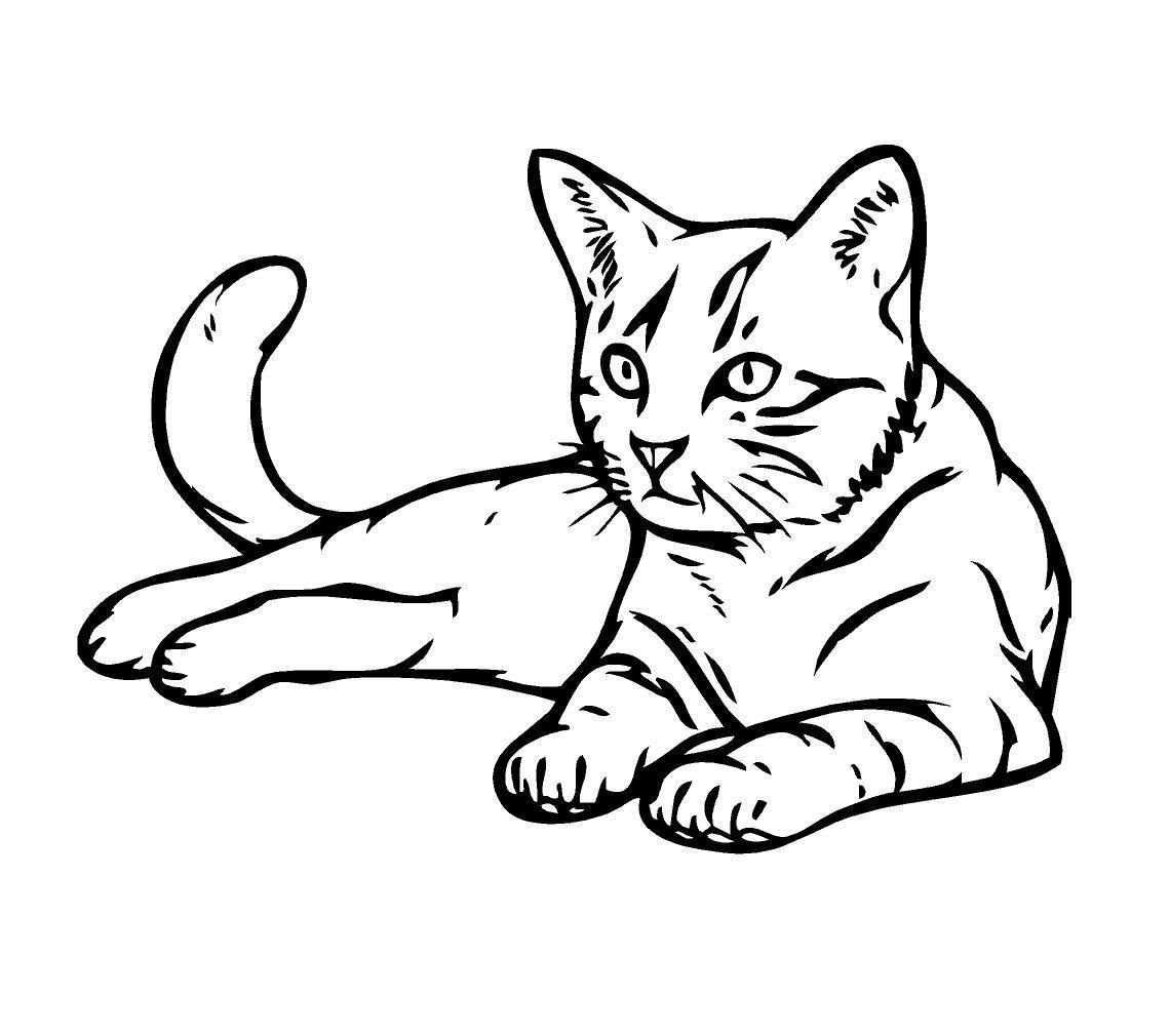 Кошка рисунок раскраска - 80 фото