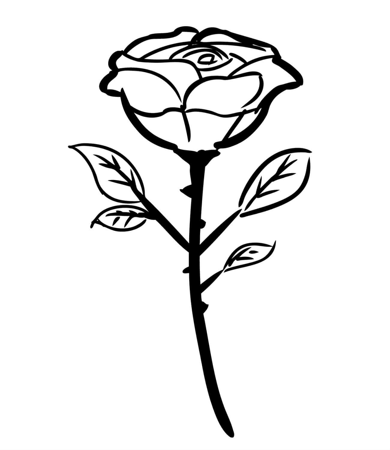 Раскраски Роза — Распечатайте королеву цветов онлайн