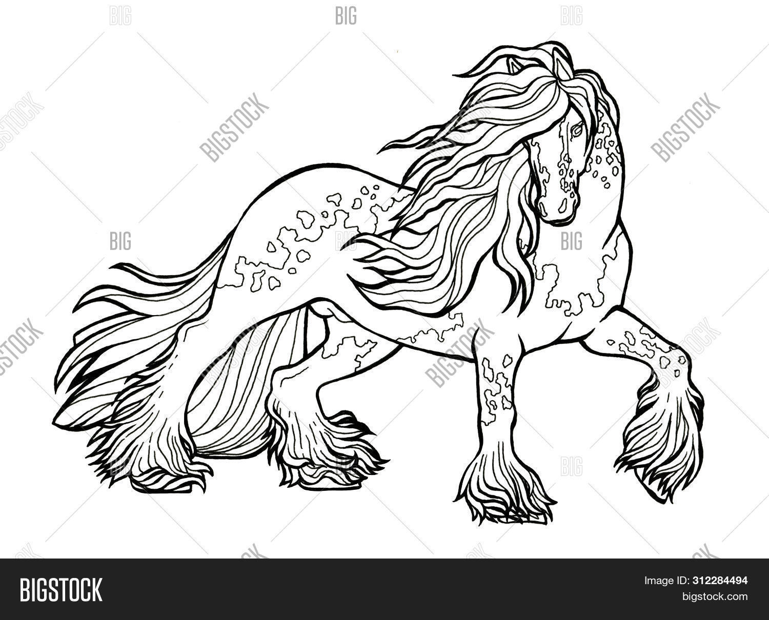 Рисунок коня прикольный