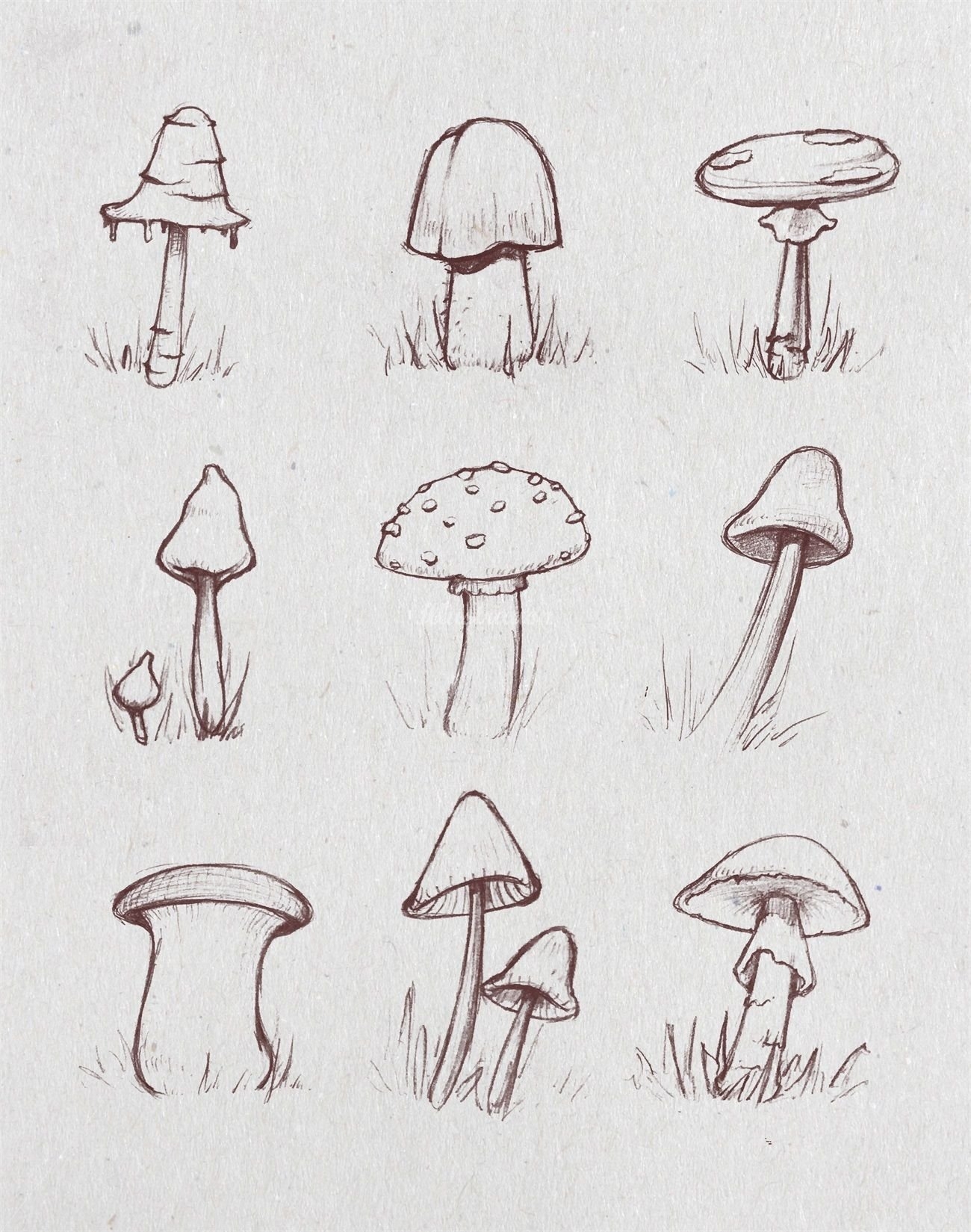 Раскраски грибы - Для печати - Kids Drawing Hub