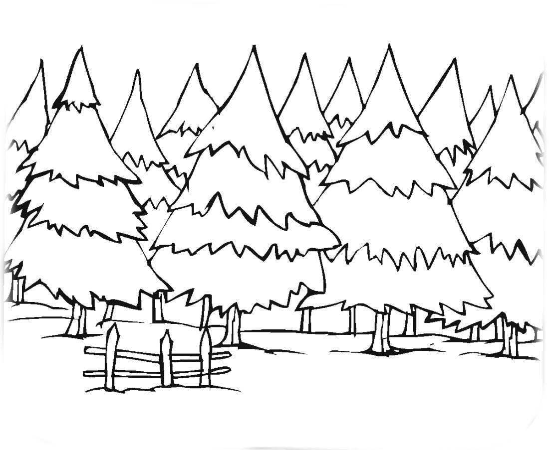 Раскраска Найди и раскрась Зачарованный лес Спрятанные картинки 9785171228767