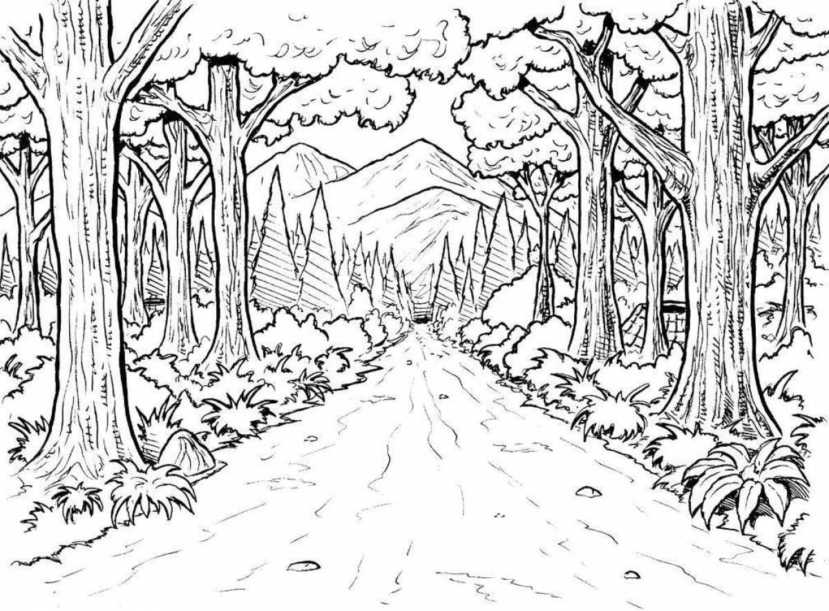 Изображения по запросу Раскраска лес