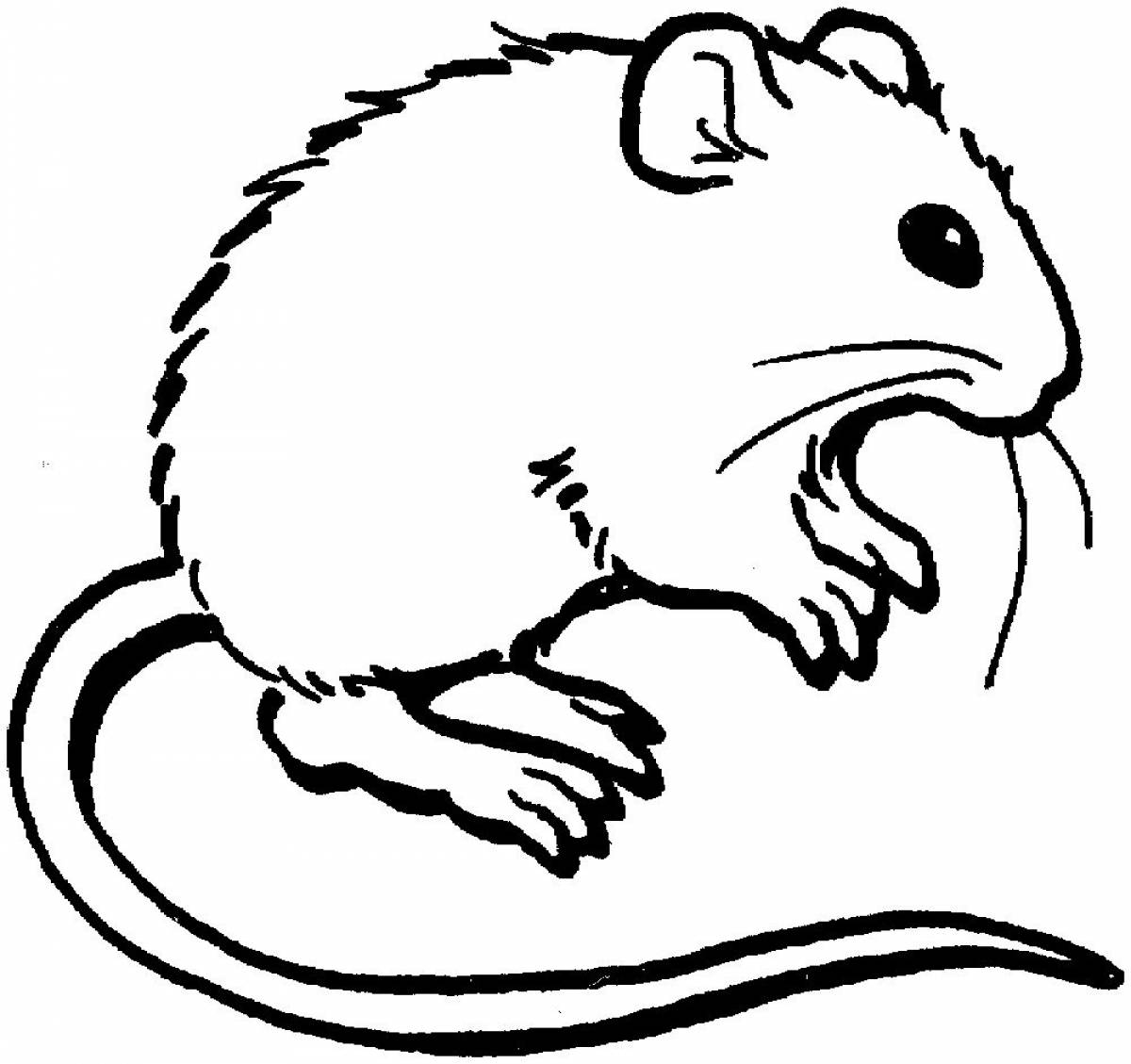 Мышь раскраска для детей - фото