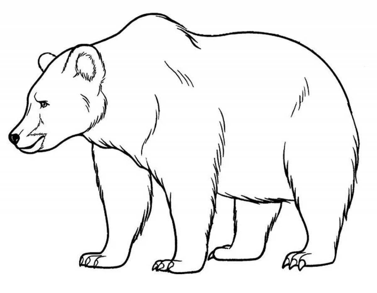 Раскраска Белый Медвежонок