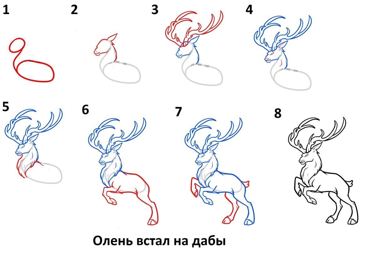 Пошаговые инструкции для рисования оленя
