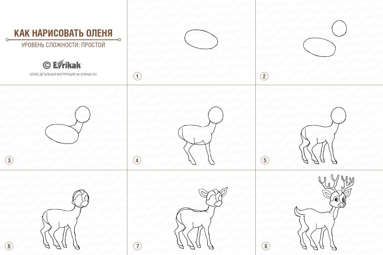 Как нарисовать оленя поэтапно карандашом (48 фото) - легкие мастер-классы по рисованию оленя