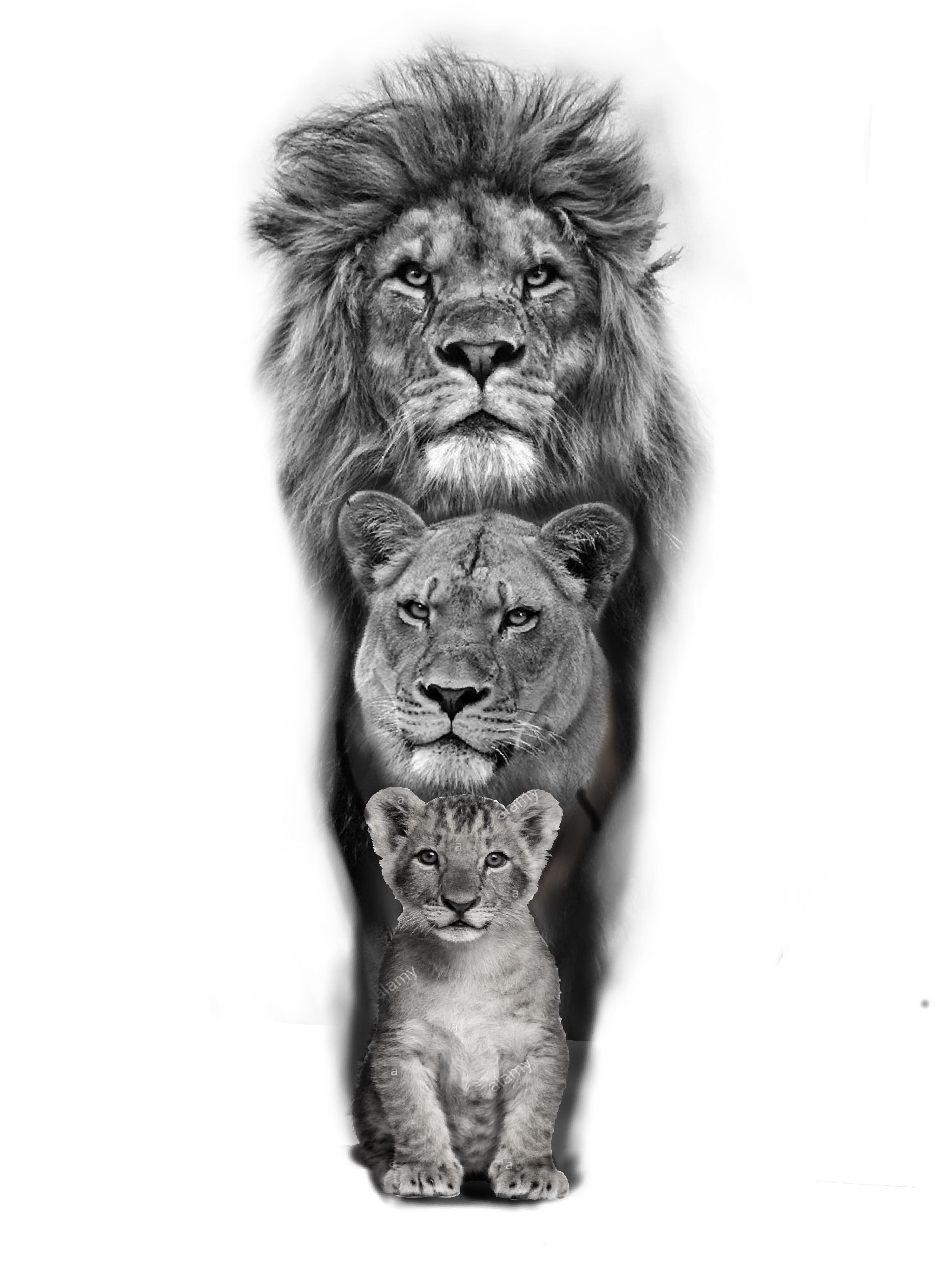 Тату львица и львенок на руке: символ силы и защиты