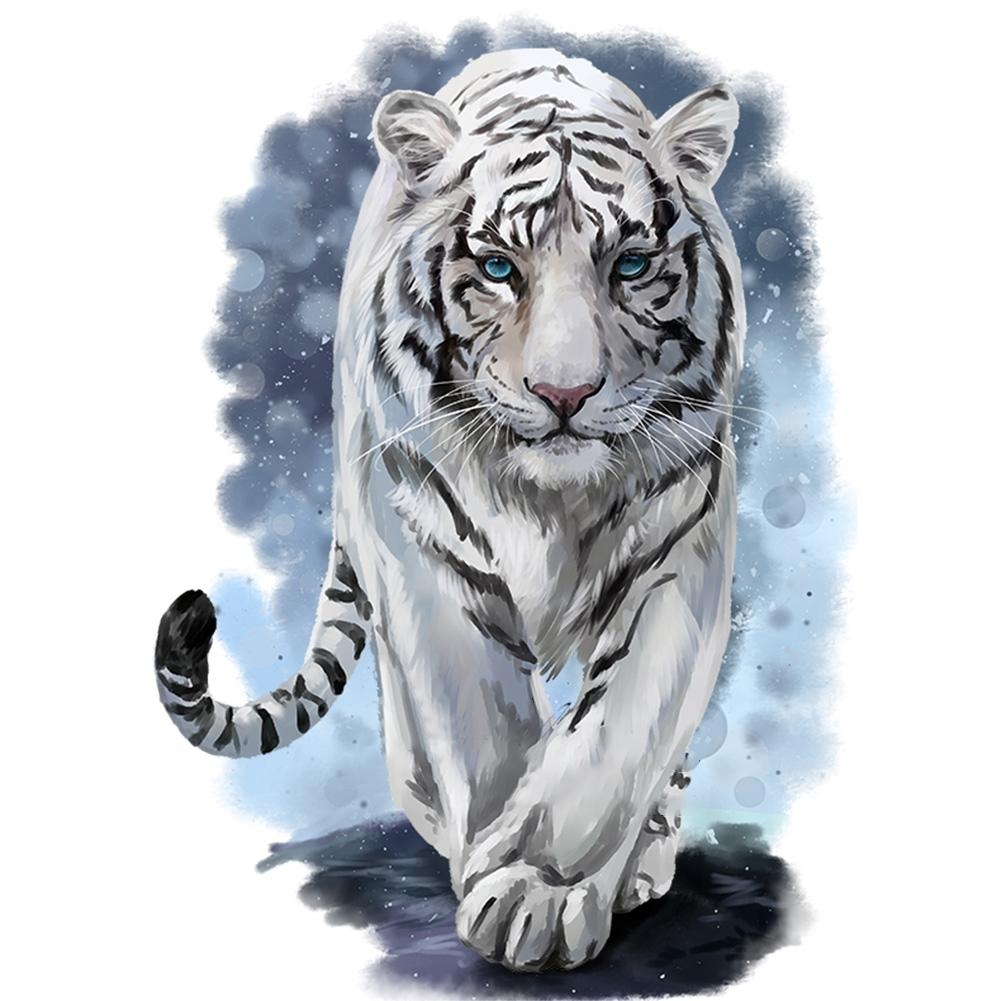 Белый тигр рисунок - 36 фото