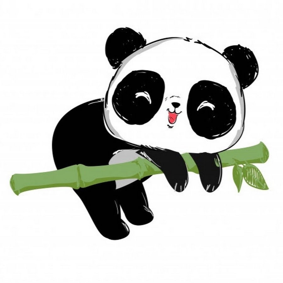 Панда рисунок. Панды мультяшные. Панда на бамбуке. Милые пандочки мультяшные. Картинка милой панды