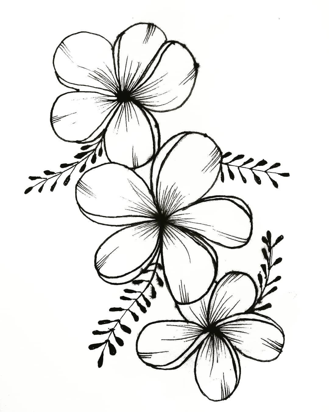 Рисунки цветов для срисовки (100 фото)