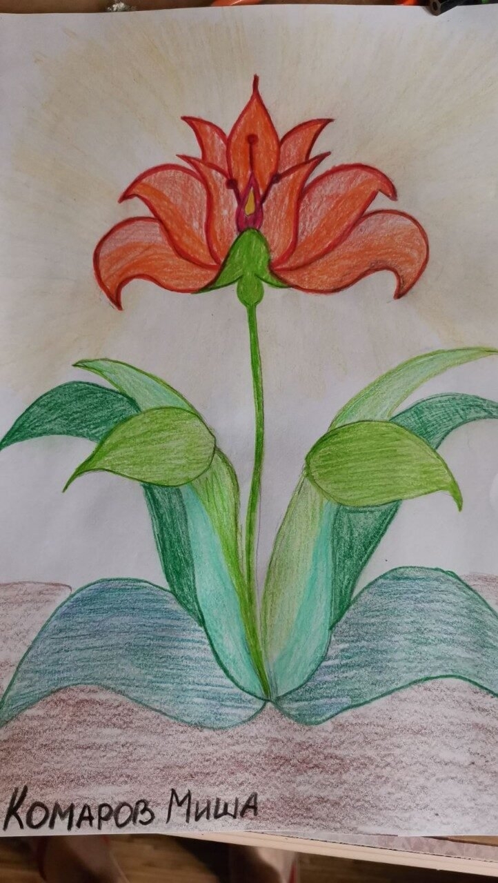 Аленький цветочек детский рисунок