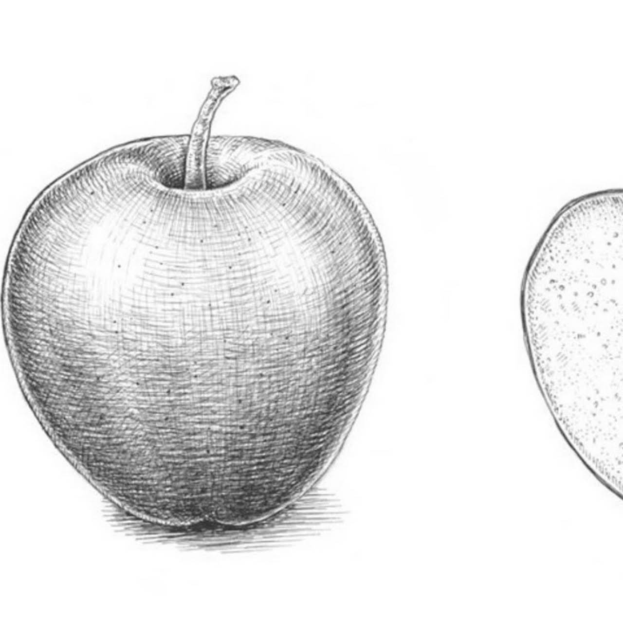 Как нарисовать яблоко. Поэтапное рисование яблока для начинающих